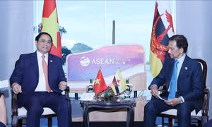 Thủ tướng Phạm Minh Chính gặp Quốc vương Brunei Darussalam