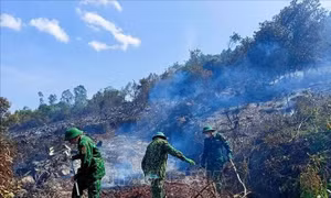Nghệ An: Kịp thời khống chế, dập tắt vụ cháy rừng