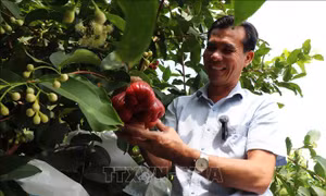 Mở hướng đi bền vững, nâng tầm giá trị nông sản Việt