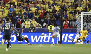 World Cup 2026: Cỗ máy vàng - xanh vào guồng
