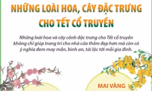 Những loài hoa, cây đặc trưng cho Tết cổ truyền