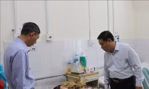 Vụ nghi ngộ độc tại Khánh Hòa: Phát hiện nhiều vi khuẩn gây bệnh trong mẫu thực phẩm