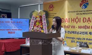 Gắn kết và nâng cao vị thế cộng đồng người Việt tại khu vực Jeonnam - Gwangju (Hàn Quốc)