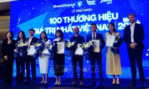 Vinh danh 100 thương hiệu giá trị nhất Việt Nam năm 2024