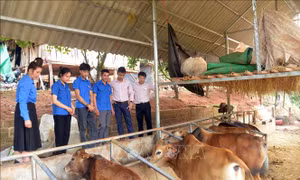 Hình thành lớp thanh niên sống có lý tưởng, hoài bão và làm kinh tế giỏi