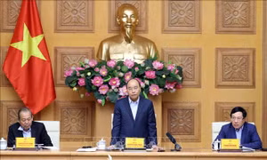 Chủ động phát hiện, ngăn chặn triệt để, quyết tâm không để dịch bệnh lây lan