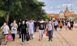 Tiếp nhận 226 công dân bị lừa gạt, lôi kéo sang Campuchia làm việc về nước