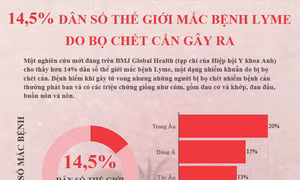 14,5% dân số thế giới mắc bệnh Lyme do bọ chét cắn gây ra