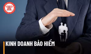 Sửa quy định về xử phạt vi phạm hành chính lĩnh vực kinh doanh bảo hiểm