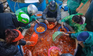 Chợ cá Yên Sở nhộn nhịp dịp ông Công, ông Táo