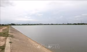 Điểm sáng từ những công trình thủy lợi