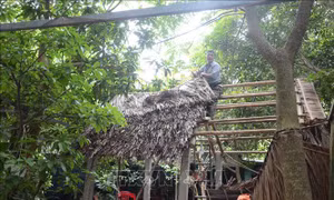 Cưỡng chế các công trình xây dựng trái phép trên bán đảo Sơn Trà