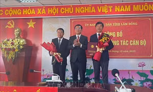 Lâm Đồng điều động, bổ nhiệm nhiều giám đốc sở, ngành