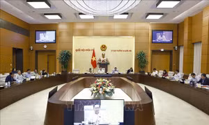 Cần hoạch định rõ chính sách khuyến khích đầu tư, ưu đãi thuế thu nhập doanh nghiệp