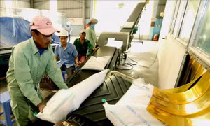 Xuất khẩu gạo 9 tháng đạt 5,2 triệu tấn