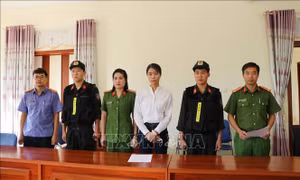 Vụ tham ô tài sản tại Can Hồ, Lai Châu: Bắt thêm nguyên kế toán xã 