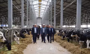 Tập đoàn TH True Milk nỗ lực hoàn thành dự án tại LB Nga theo đúng kế hoạch