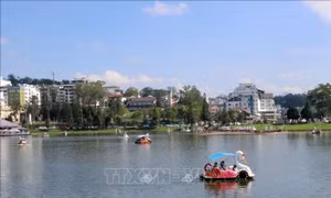 Cho phép xe đạp nước trên hồ Xuân Hương - Đà Lạt hoạt động trở lại