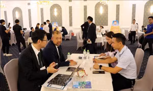 Doanh nghiệp trẻ Hải Dương và Nhật Bản tìm kiếm cơ hội hợp tác