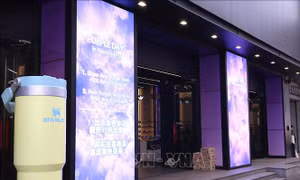 Sắc tím bao phủ trung tâm thủ đô Seoul trước buổi công diễn của BTS