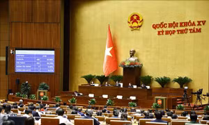 Thông qua Luật Phòng, chống mua bán người (sửa đổi)