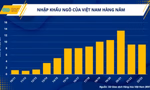 Ngành chăn nuôi và bài toán vượt khó trong quý I/2023
