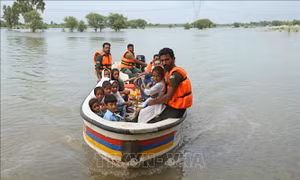 Lũ lụt nghiêm trọng khiến giá thực phẩm tại Pakistan tăng phi mã