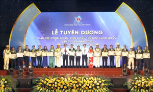 Tuyên dương 42 cán bộ, công chức, viên chức trẻ giỏi toàn quốc năm 2022