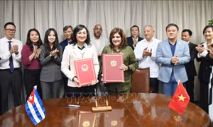 65 năm quan hệ Việt Nam-Cuba: Phấn đấu nâng trao đổi thương mại lên 500 triệu USD 