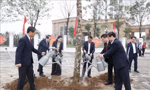 Trồng cây nhớ Bác, kiến tạo 'lá phổi xanh' và xây dựng đô thị di sản