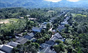 Ấm no bản tái định cư người Mông ở Tuyên Quang