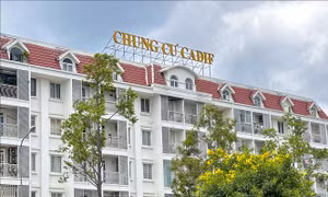 Nhiều vi phạm đất đai tại Sở Tài nguyên và Môi trường thành phố Cần Thơ