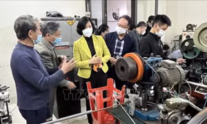 Cần thu hồi bằng công nhận làng nghề đối với những làng nghề không còn đảm bảo tiêu chí