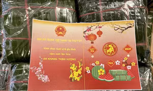 Đại sứ quán Việt Nam tại Thụy Sĩ đổi mới hình thức mừng Tết cổ truyền