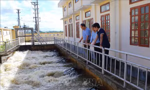 Tập trung tiêu nước, chống úng bảo vệ lúa mùa