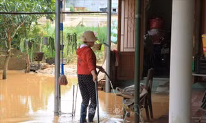 Chủ động ứng phó với mưa, lũ khu vực sông Cam Ly