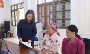 Chuyên nghiệp hóa đội ngũ cán bộ, công chức cấp xã