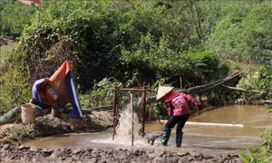 Lòng suối bị 'rút ruột' vì 'loạn' khai thác cát tại xã Chiềng Đông, Điện Biên