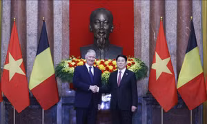 Chủ tịch nước Lương Cường hội kiến Nhà vua Vương quốc Bỉ Philippe