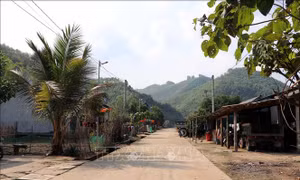 Xã 135 Yên Lâm với nỗ lực xây dựng nông thôn mới
