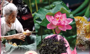 Nghề ướp trà sen Quảng An: Di sản Văn hóa phi vật thể Quốc gia
