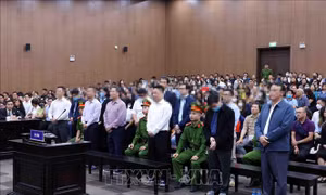 Nhìn lại phiên tòa xét xử vụ án Tân Hoàng Minh