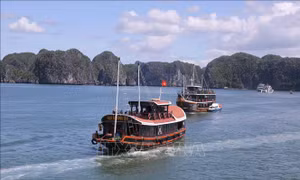 Điểm nhấn thu hút du khách đến Cát Bà