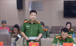 Khởi tố cựu Phó Bí thư Tỉnh ủy Đồng Nai (cũ) Phan Thị Mỹ Thanh