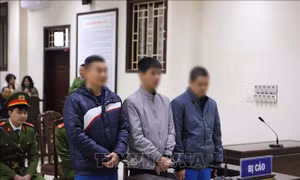 Phạt tù lãnh đạo và đăng kiểm viên tại Thái Bình nhận hối lộ