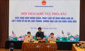 Hội thảo lấy ý kiến về dự án Luật Phòng, chống bạo lực gia đình