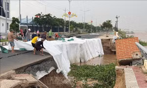 Công bố tình huống khẩn cấp sạt lở bờ sông Tiền khu vực kè Thường Thới Tiền
