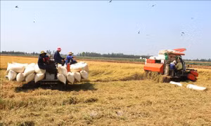 Phát triển kinh tế gắn với công bằng xã hội - Bài 1: Đường đã chọn là con đường tất yếu