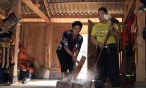 Lên vùng cao Bắc Yên đón Tết cùng đồng bào Mông