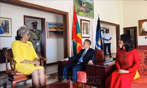 Việt Nam - Grenada tăng cường ủng hộ lẫn nhau trên các diễn đàn đa phương